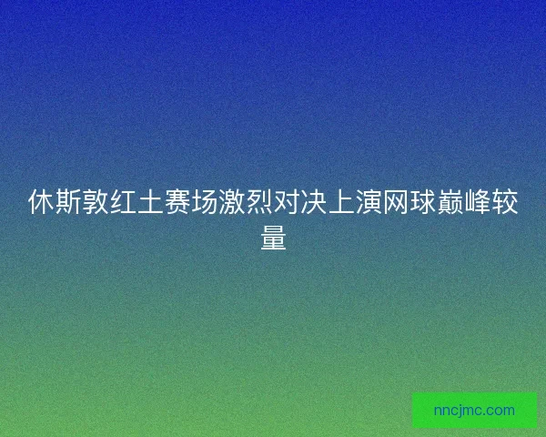 休斯敦红土赛场激烈对决上演网球巅峰较量